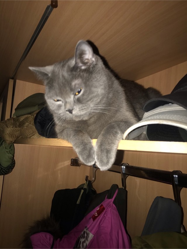 Моя красотка