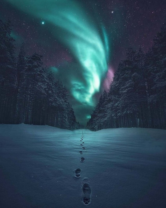 Красота фотографии