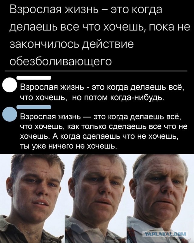Свинегрет: картинки, надписи и прочее на 20.02.21 или №30