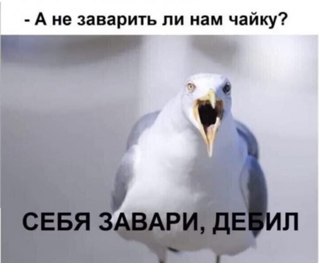 Признания мужчин, простивших жёнам измену (случаи из практики)