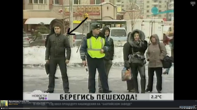Тупые пешеходы Приморского района Петербурга