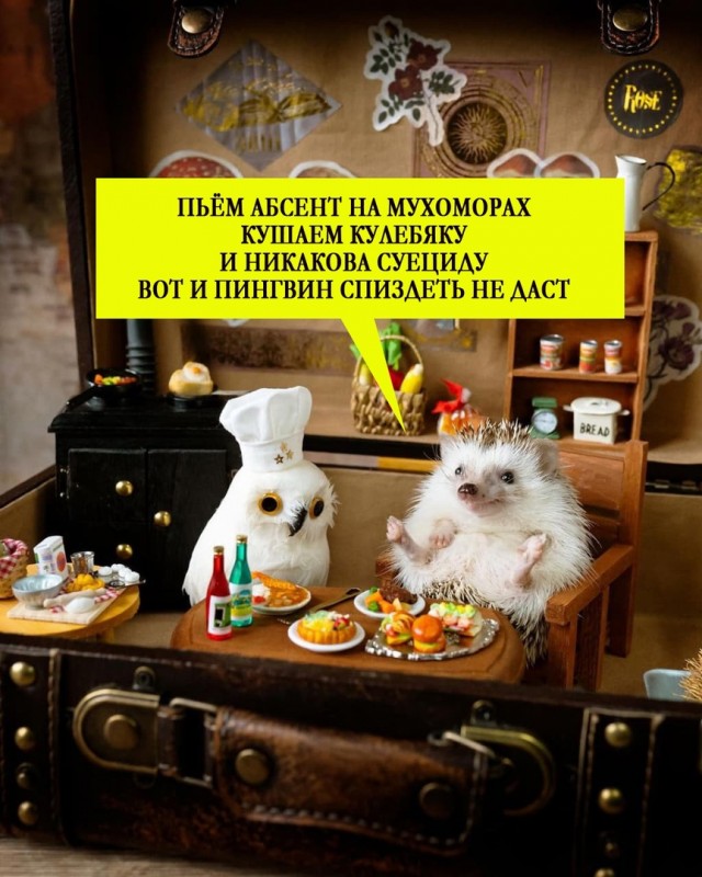 Весёлый полтишок 26.09