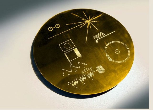 Татуировки министра культуры Нижегородской области вызывают вопросы