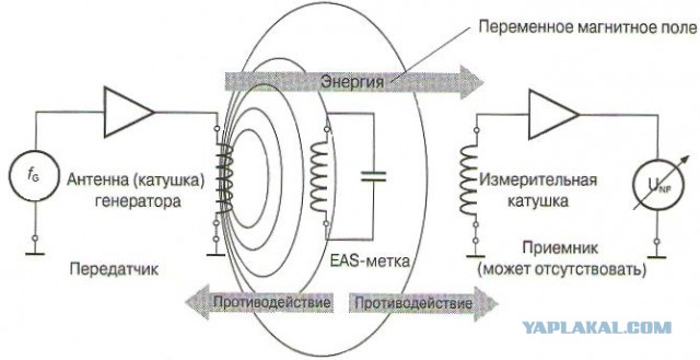 Задержание магазинного вора