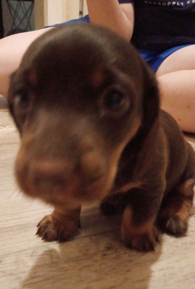 Муж загулял...