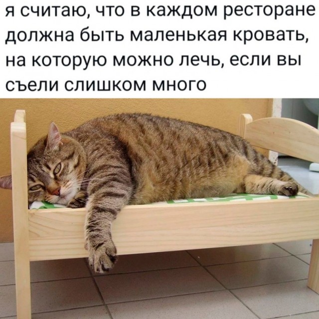 Немного картинок для настроения - 131