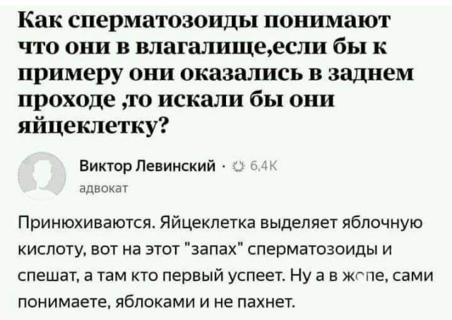 Забавные шутки, фразы, картинки из этих ваших интернетов 01.09.2022