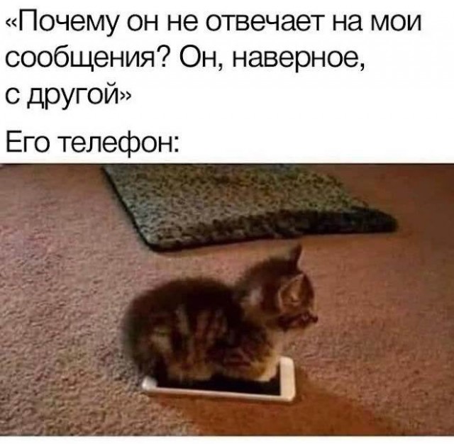 Немного картинок для настроения - 123
