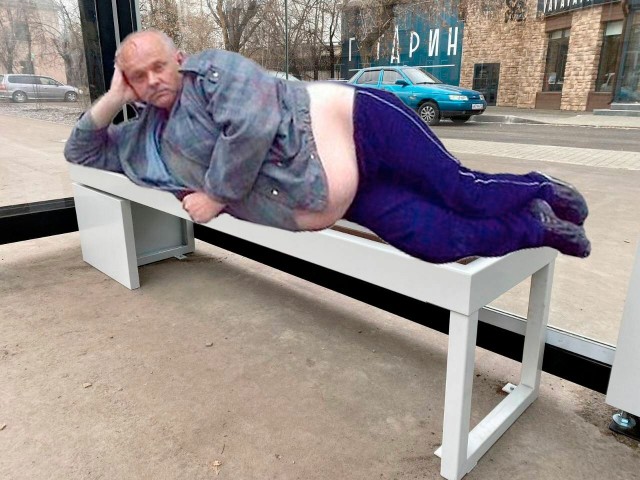 Пушистый контролёр одобрил новую остановку