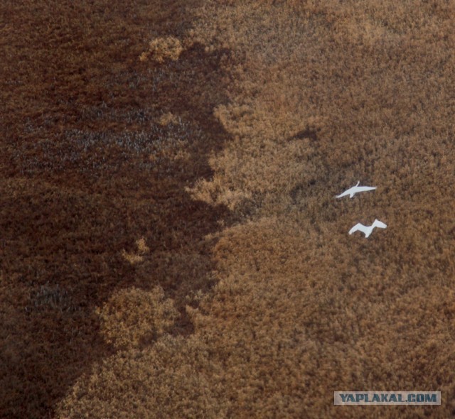 Сибирские перекрёстки