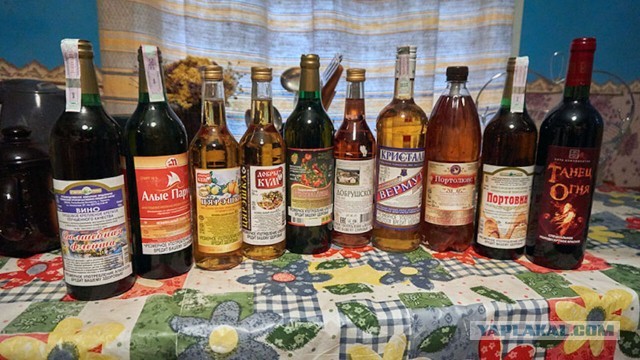 Мы запиваем, а вы закусываете