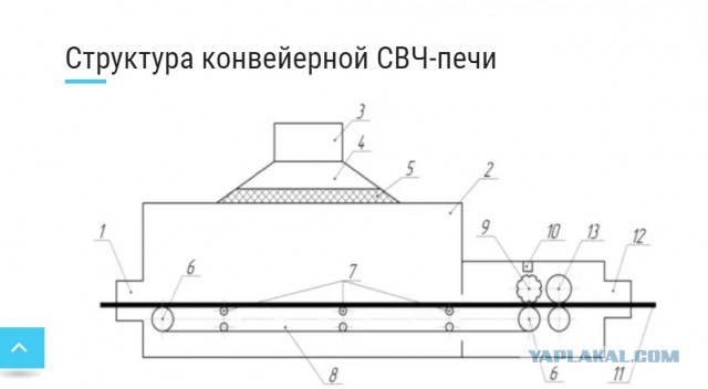Житель Москвы засунул кота в микроволновку и снял об этом видео.