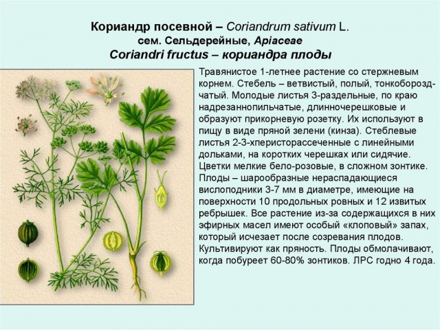 Так себе картинки 18.09.23