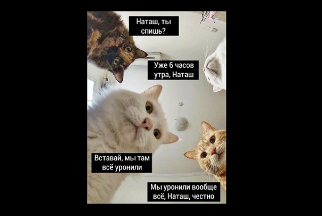Три причины: Почему разведёнке необходимо снова выйти замуж