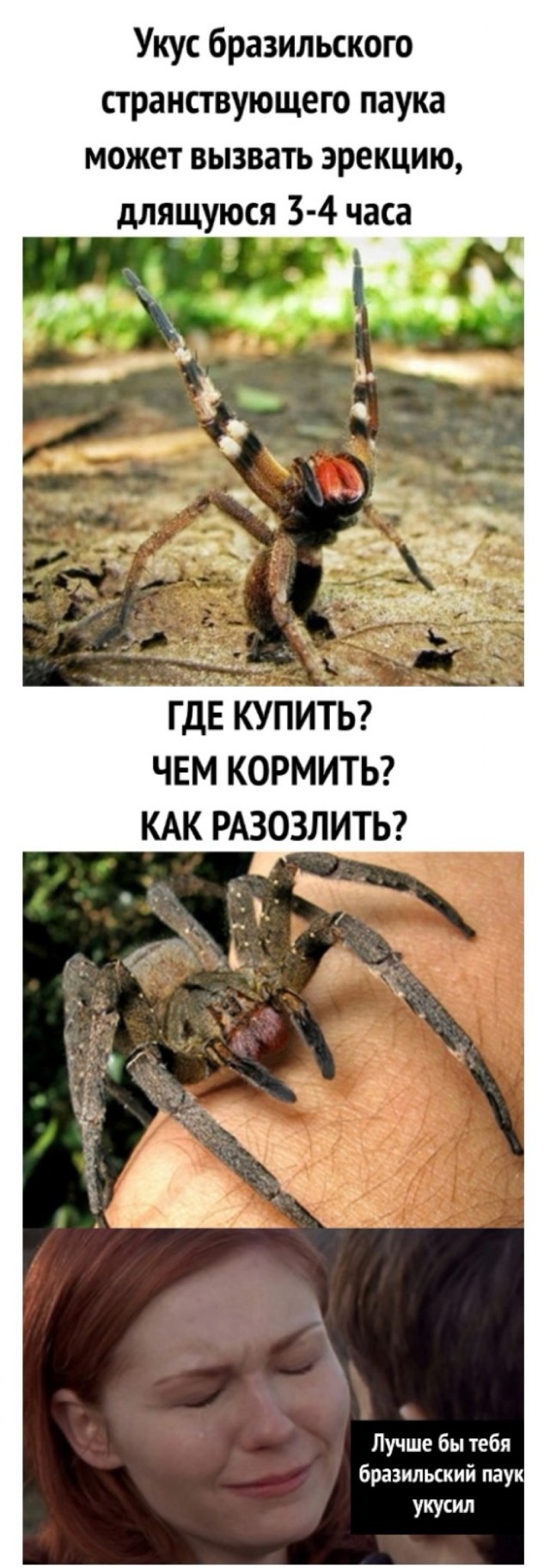 Так себе картинки 01.06.24