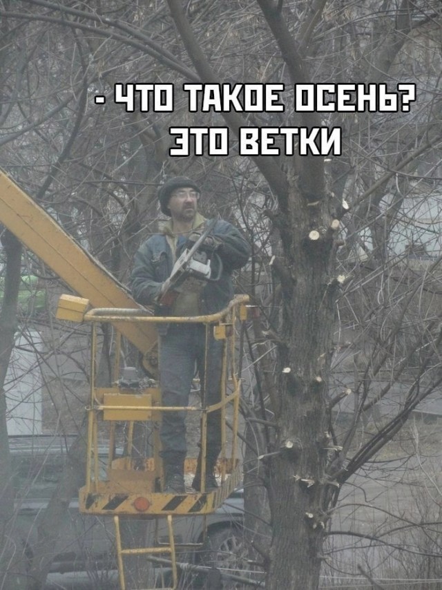 Так себе картинки 01.09.24