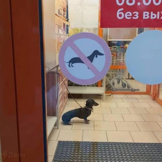 Так себе картинки 04.09.24