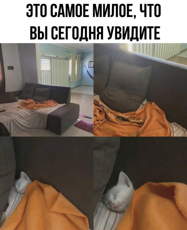 Нуштош 19.09.2024