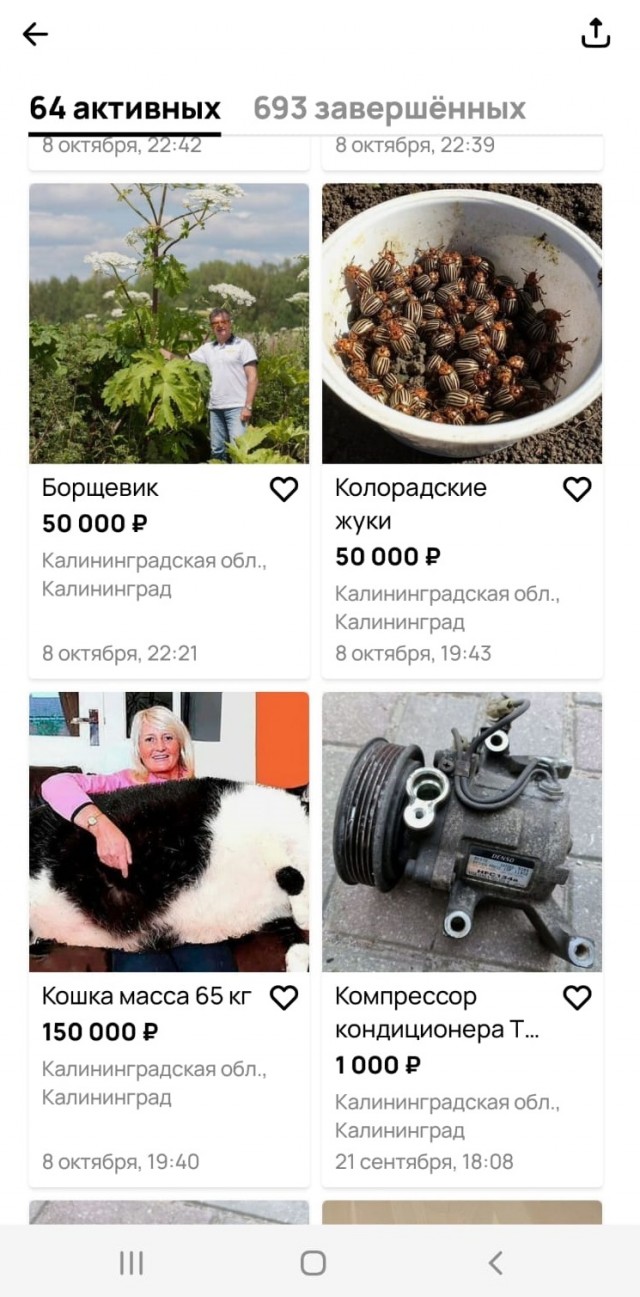 Никому не нужен орган, крыса 28 кг или борщевик?
