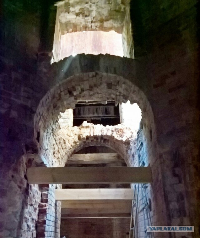 Очумелые Пёрышки