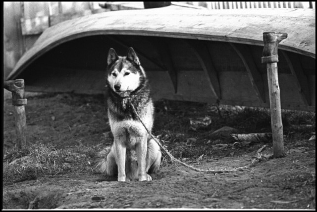 Фотографии из прошлого нашей страны – 90