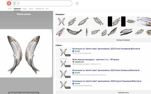 Картинки для деградации 7 (разной степени свежести)