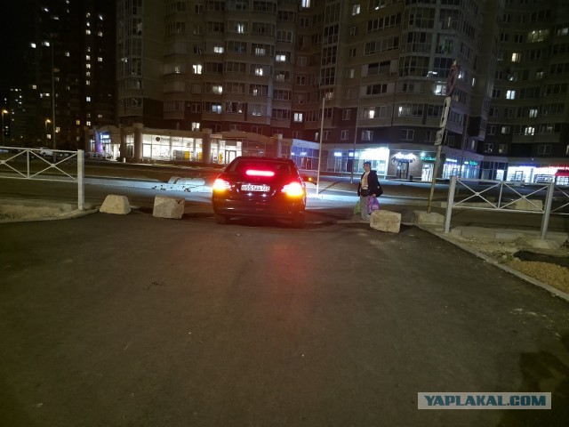 Водятлы в СПб