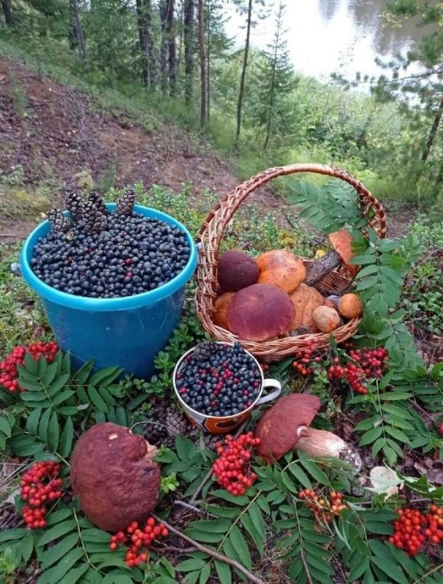 Прикольные и просто красивые картинки 19.09.2025