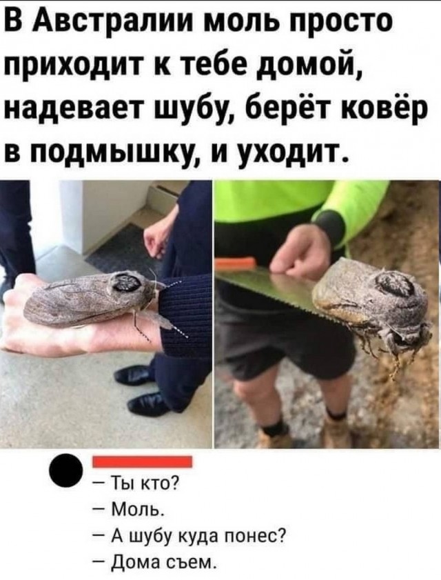 Осень, хули
