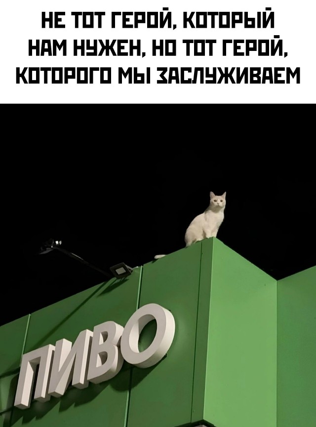 Так себе картинки 22.11.25
