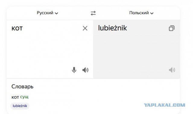 Барсик не курва