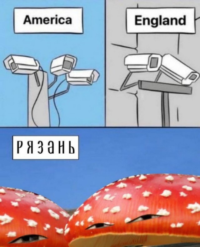 Эх мне бы сейчас в лес откричаться...
