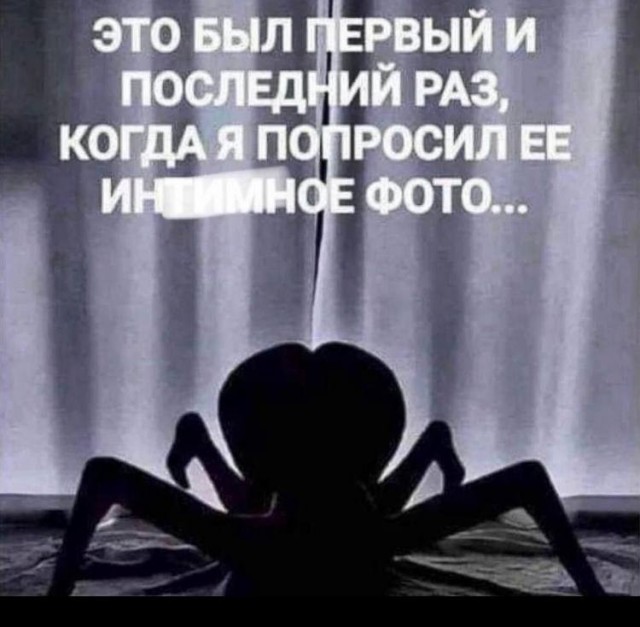 Циклопопаукот