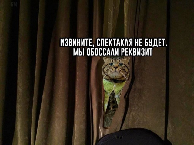 Фотожаба: Грустный котик