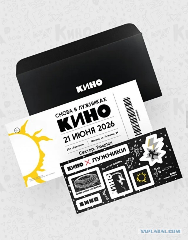 Иду я на концерт Кино