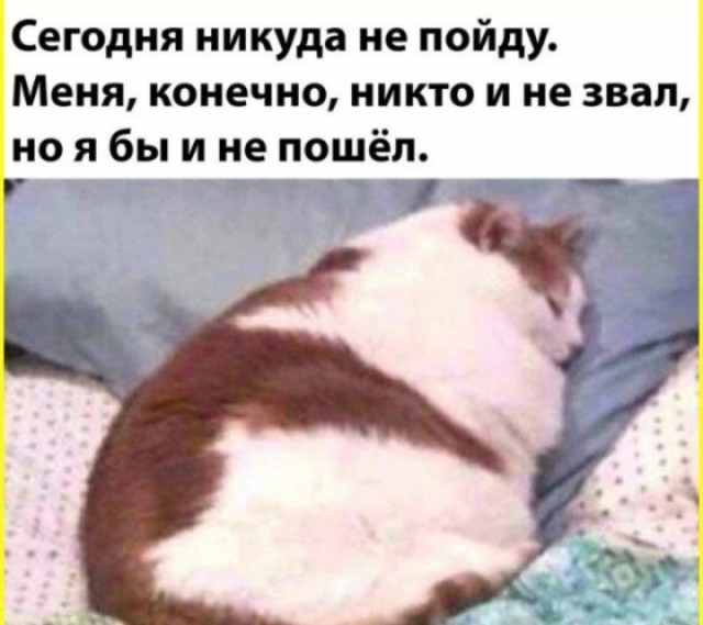 Картинки для деградации 255 (разной степени свежести)