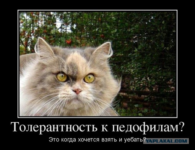 Педофилия, как норма – детский проект Улицкой