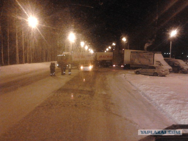 Где яблоки растут!