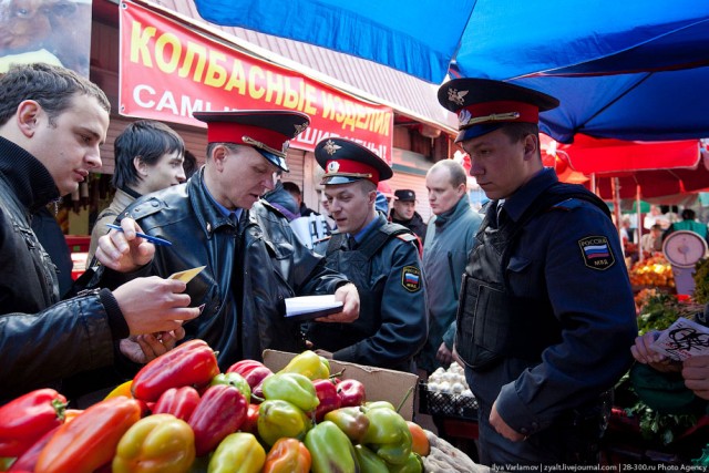 Как нашисты тухлятину искали