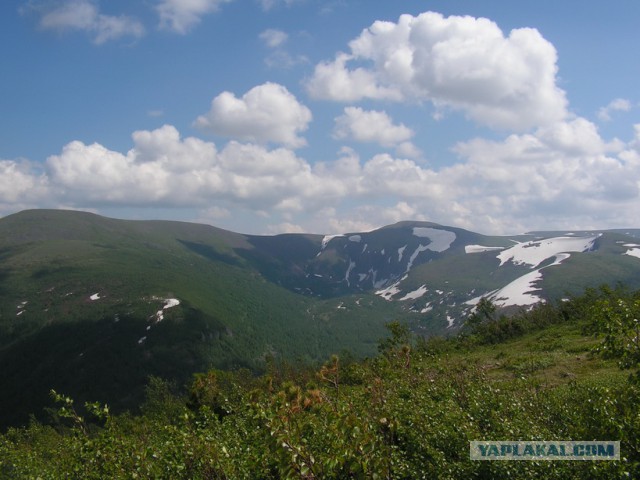 Сибирь настоящая