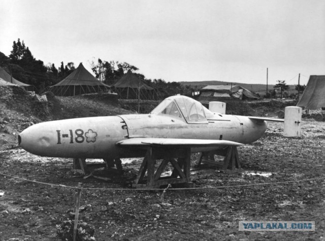 Wargaming 12, WoT сотоварищи
