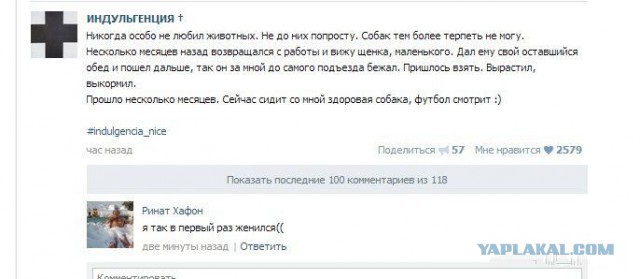 Смешные комментарии из социальных сетей