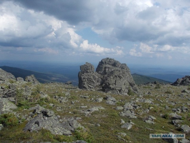 Небольшая дверь в Лето!