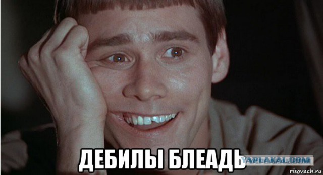Убийство белого медведя