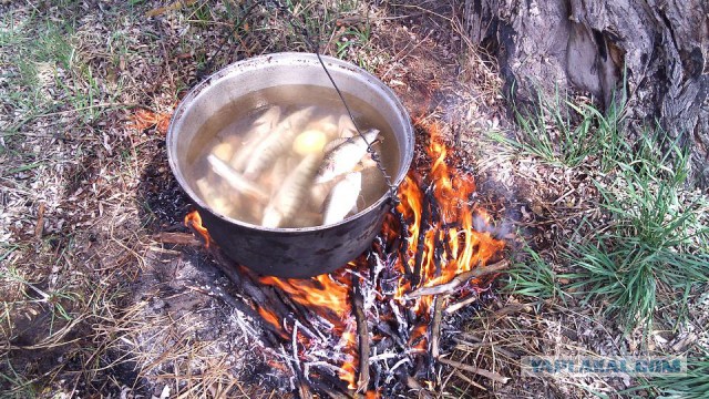 Электронная сигарета, матчасть и выбор
