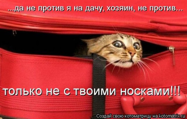 Подборка картинок на 06.04.16