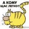 Аватары. Коллекция прикольных аватаров