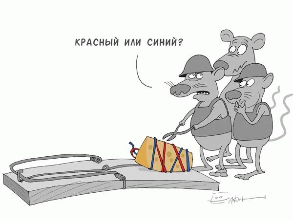 Крысы!!!ааааааааа!!!!!!!!