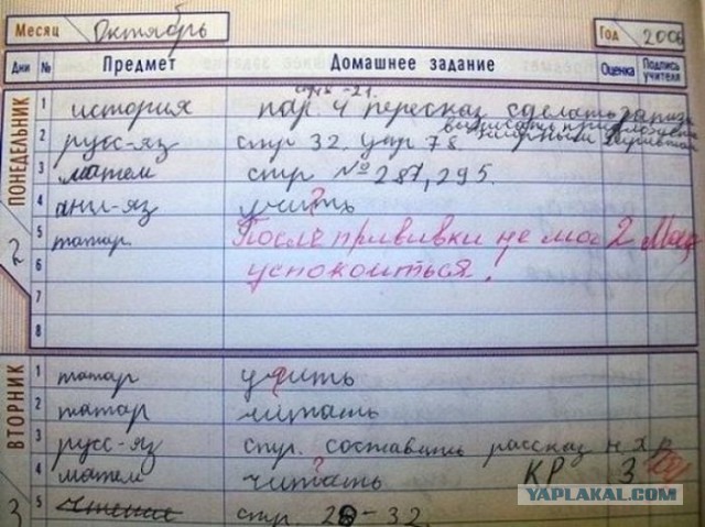 Домашнее задание