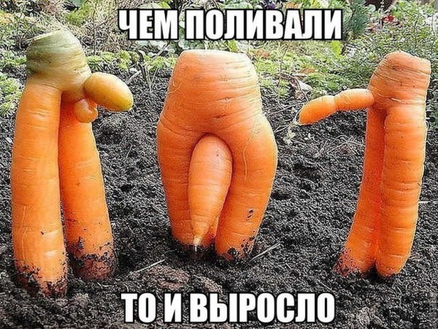 150 картинки для поднятия настроения!